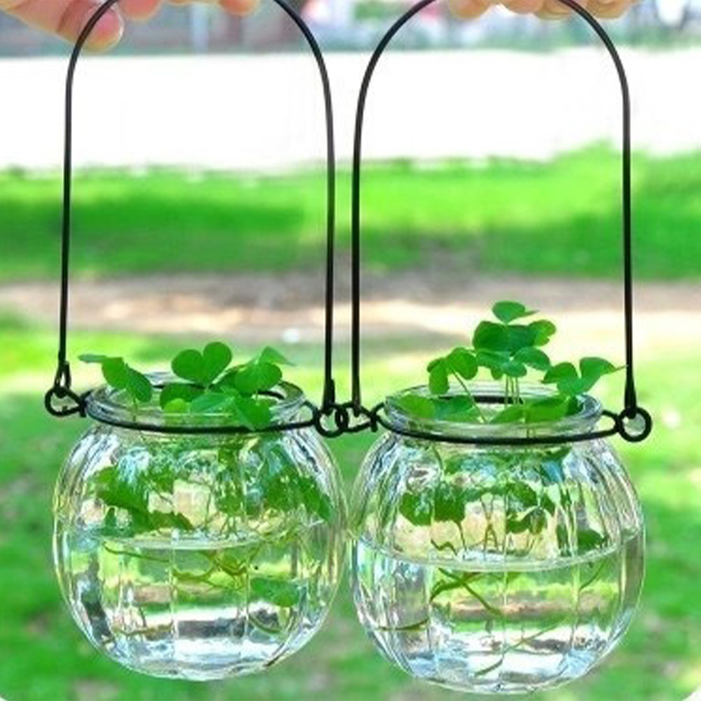 6Pcs Clear Glass Wall Planters – Propagation Station Vase Bewertung und Preis