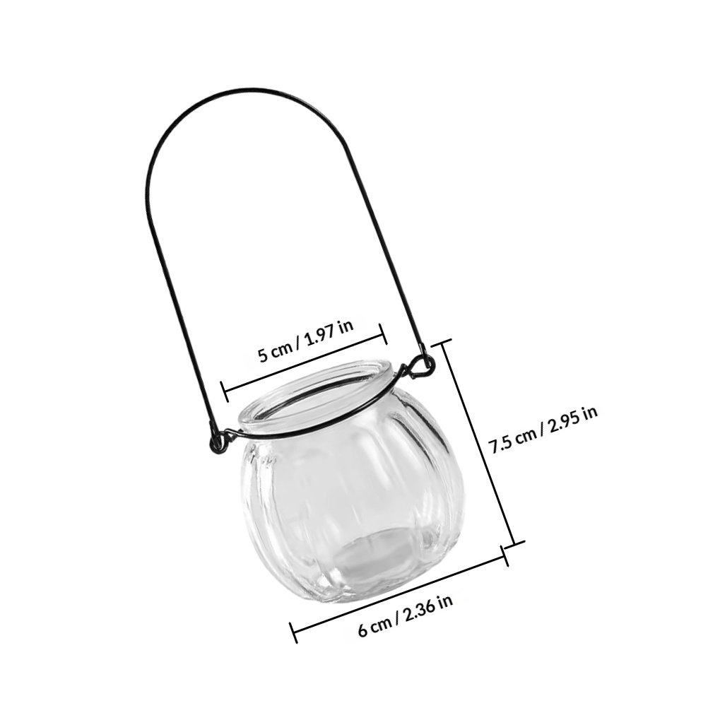 6Pcs Clear Glass Wall Planters – Propagation Station Vase Bewertung und Preis