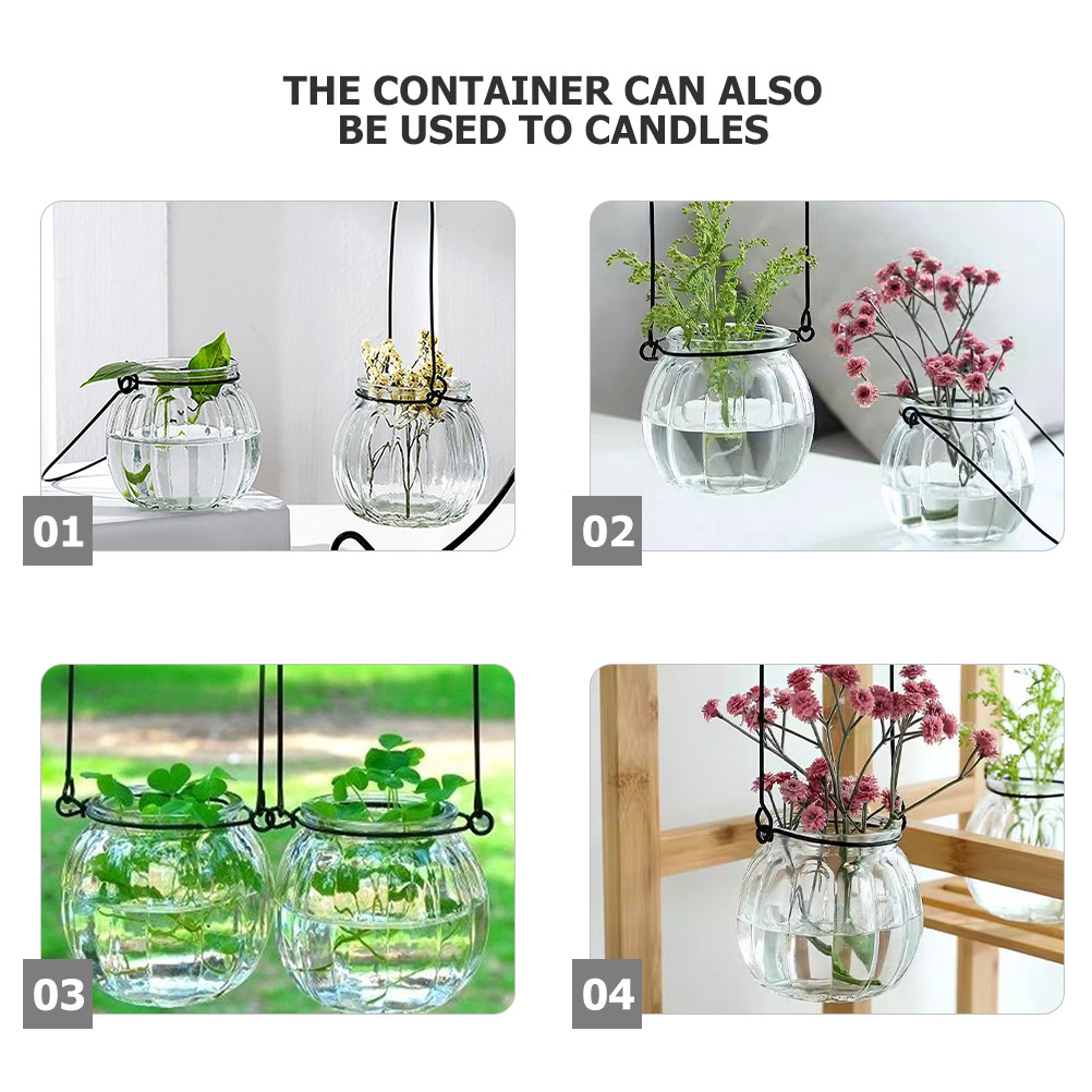 6Pcs Clear Glass Wall Planters – Propagation Station Vase Bewertung und Preis