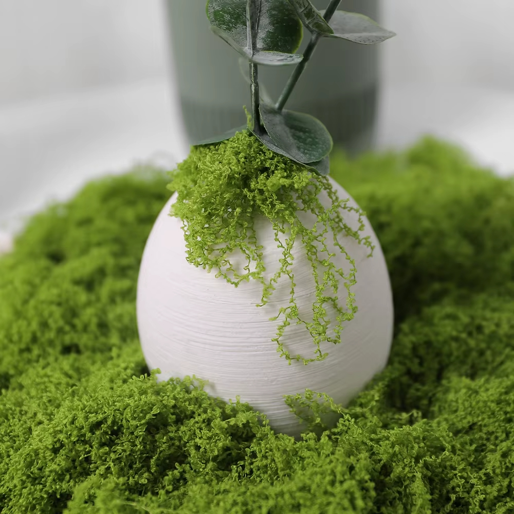30/100g Artificial Green Plant – Sphagnum Moss Dry Bewertung und Preis