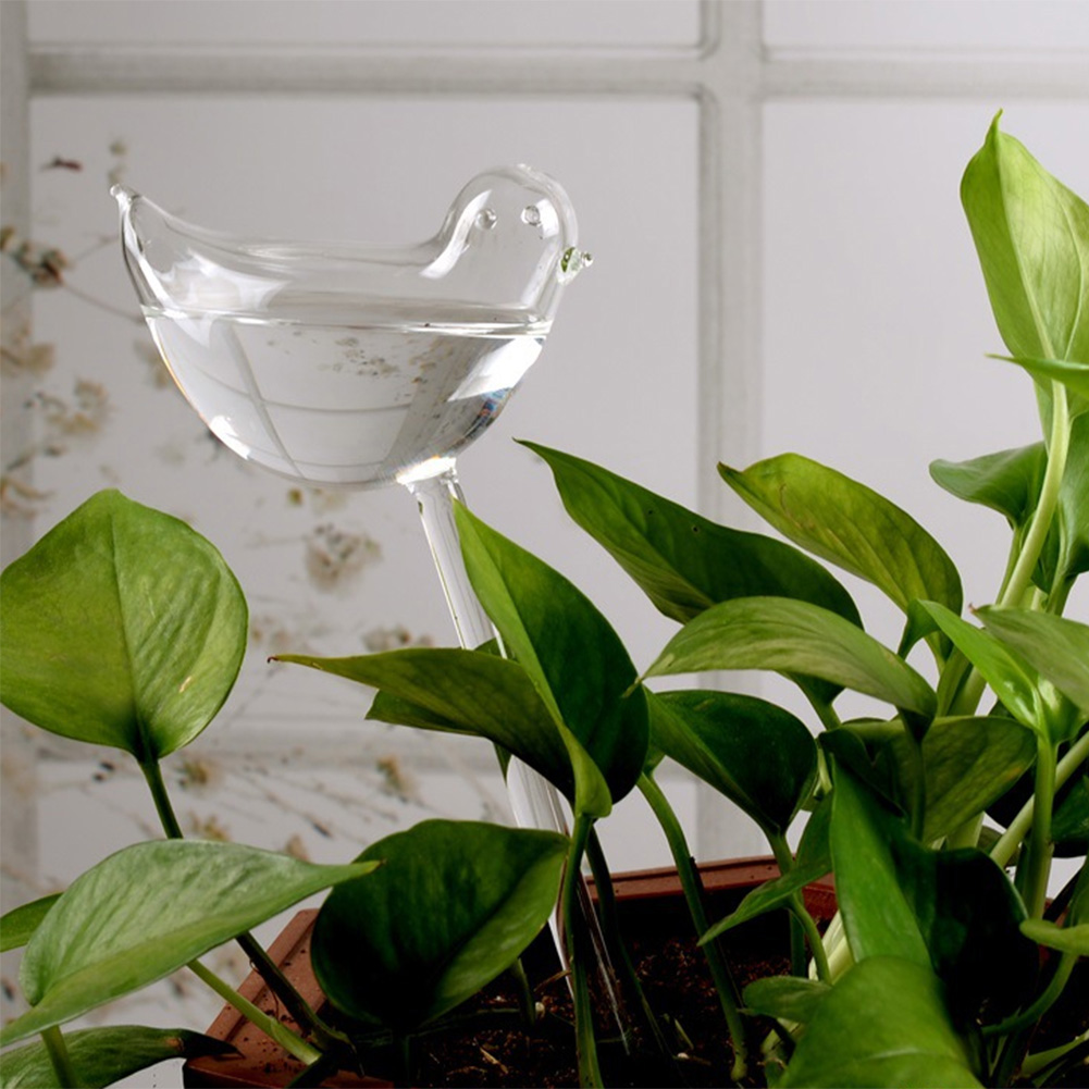 Automatic Plant Watering Bulbs – Self Watering Insert Bewertung und Preis