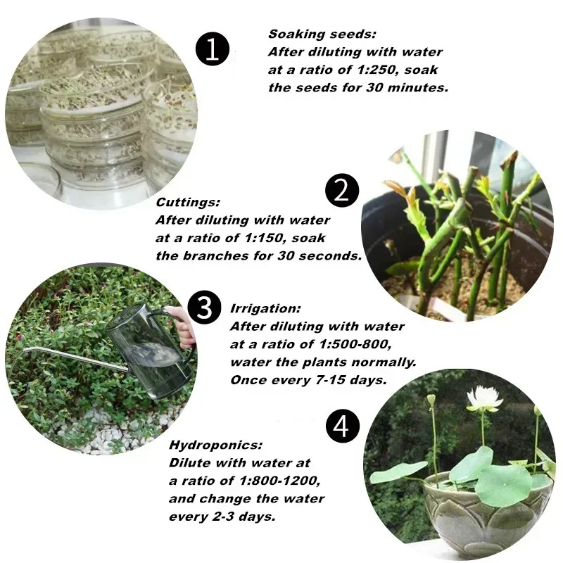 10g Quickly Rooting Powder Hor – Rooting Hormone Powder Bewertung und Preis