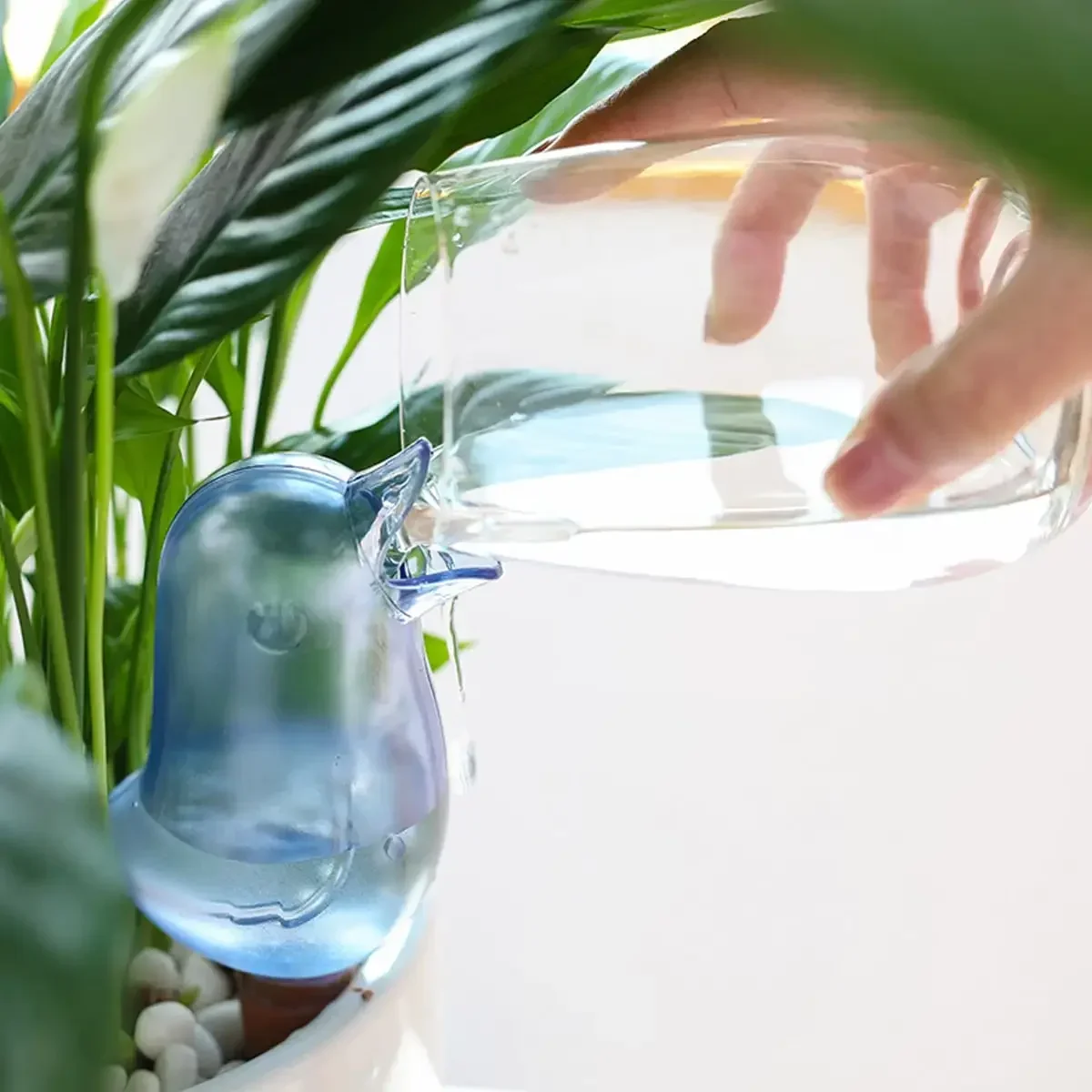 High quality automatic flower  – Self Watering Insert Bewertung und Preis