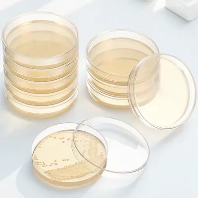 20Pcs Pre-Poured Agar Plates N – Agar Tissue Culture Bewertung und Preis