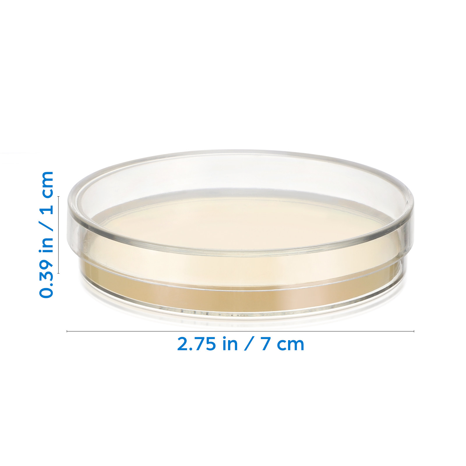 20Pcs Pre-Poured Agar Plates N – Agar Tissue Culture Bewertung und Preis