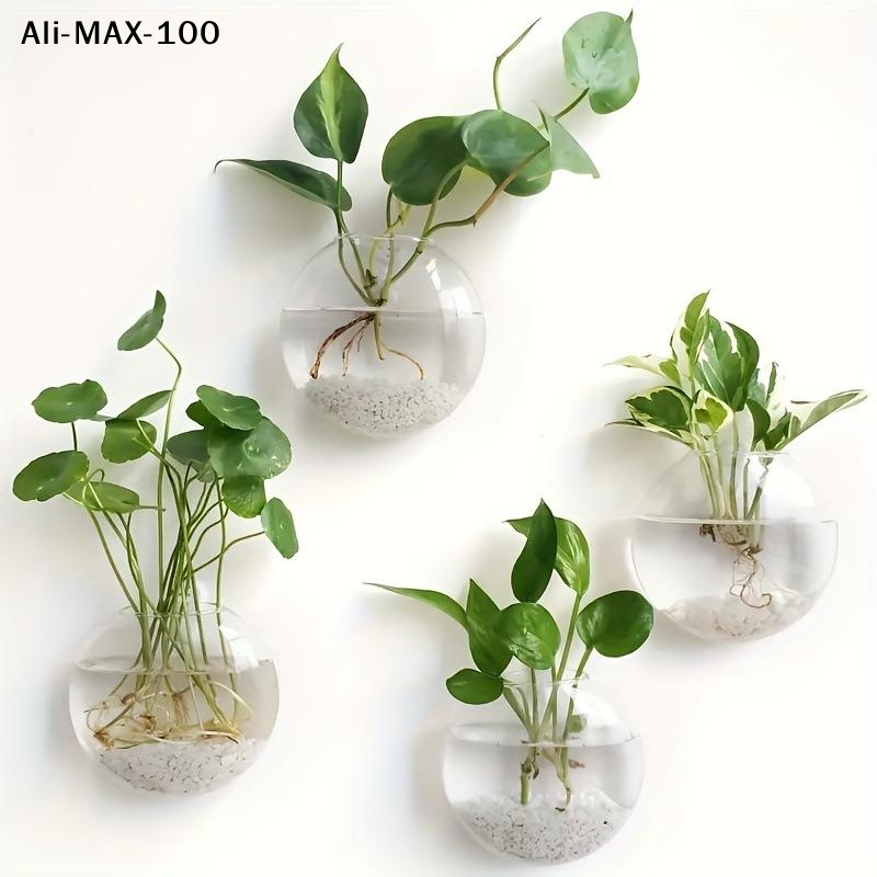 【MA3】Wall Hanging Glass Plant  – Propagation Station Vase Bewertung und Preis