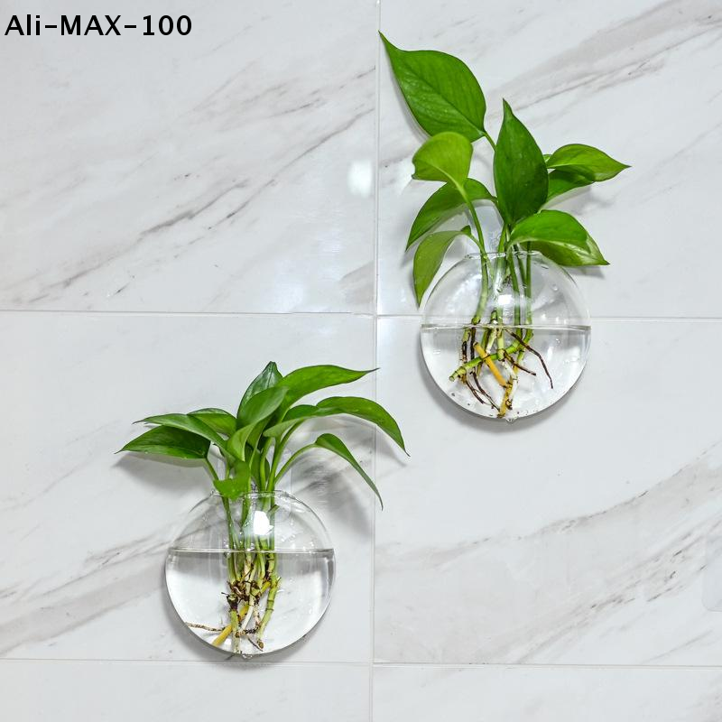 【MA3】Wall Hanging Glass Plant  – Propagation Station Vase Bewertung und Preis