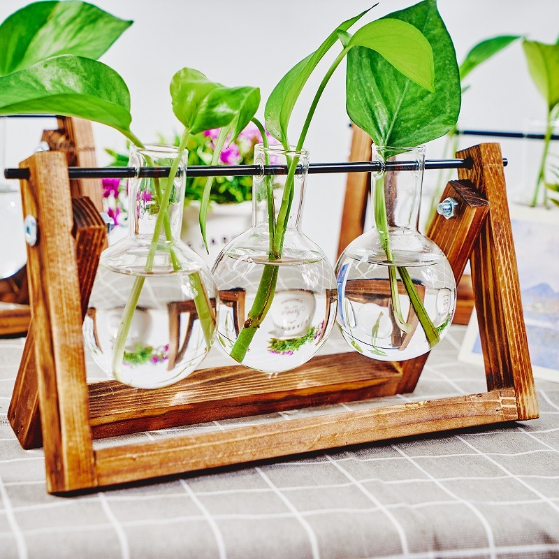 Tabletop Glass Planter Propaga – Propagation Station Vase Bewertung und Preis