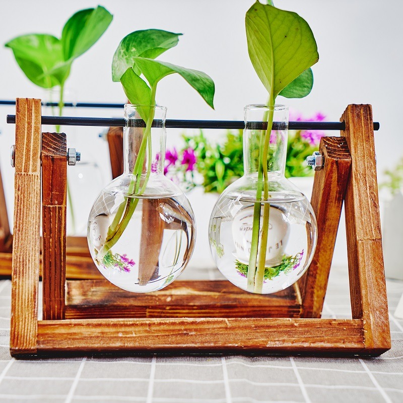 Tabletop Glass Planter Propaga – Propagation Station Vase Bewertung und Preis