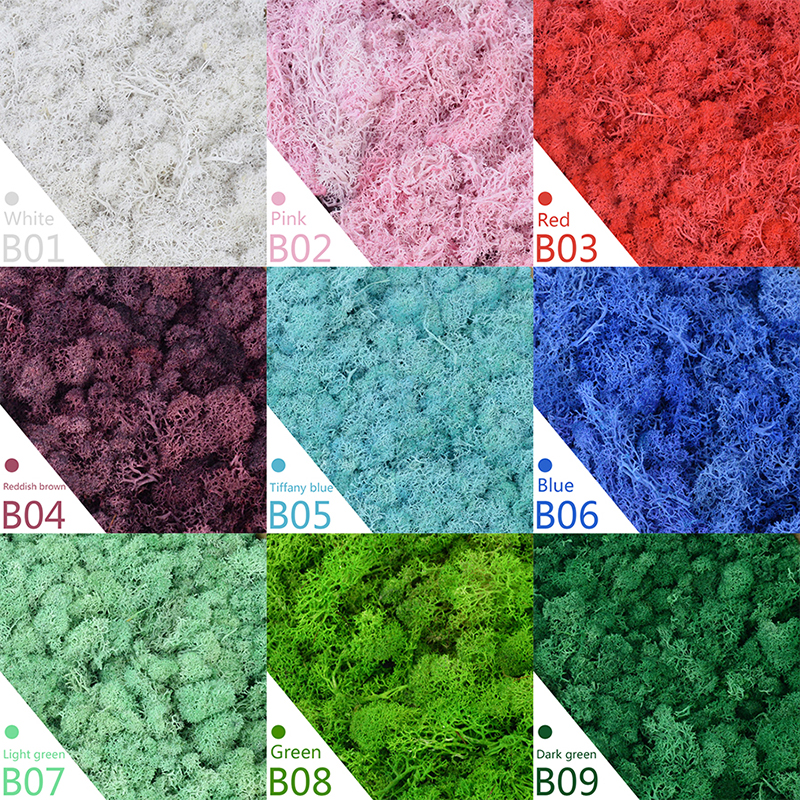 40/20g Artificial Moss Grass G – Sphagnum Moss Dry Bewertung und Preis