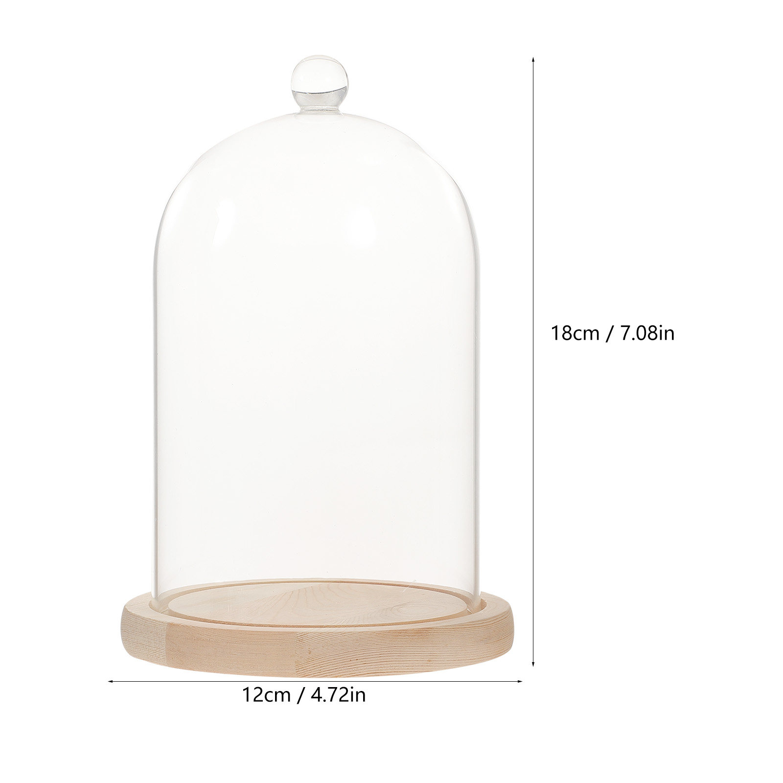 Glass Dome Display Case with B – Plastic Dome Clear Bewertung und Preis
