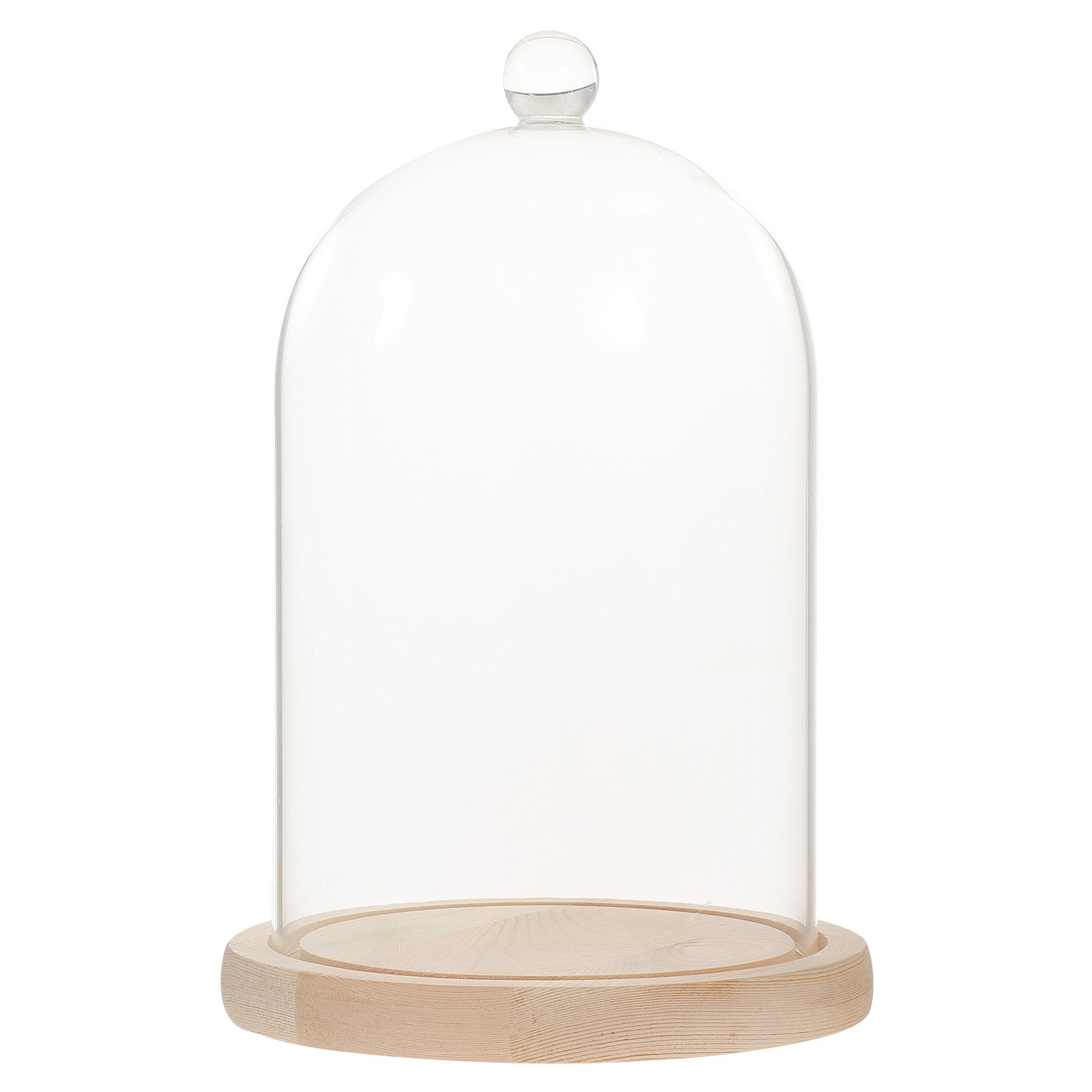 Glass Dome Display Case with B – Plastic Dome Clear Bewertung und Preis