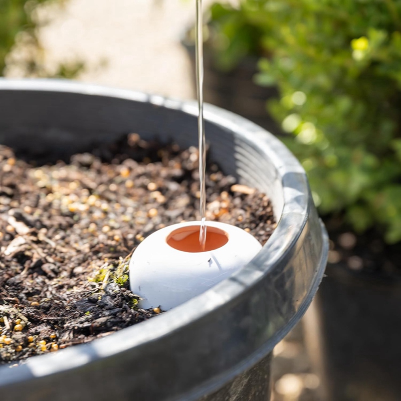 Plant Watering Ball, Terracott – Self Watering Insert Bewertung und Preis